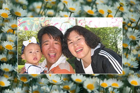daisyframe.jpg